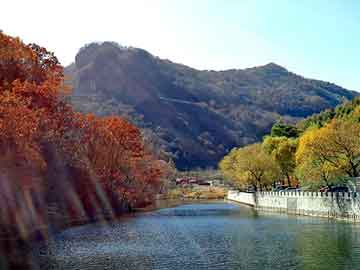 虎鞭价格，森本龙太郎回归